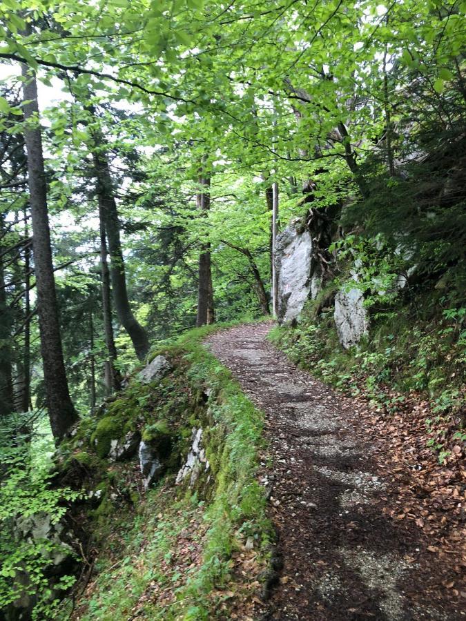 Ciao-Aschau Haus Zur Burg Ap112 Burgblick Appartement Aschau im Chiemgau Buitenkant foto