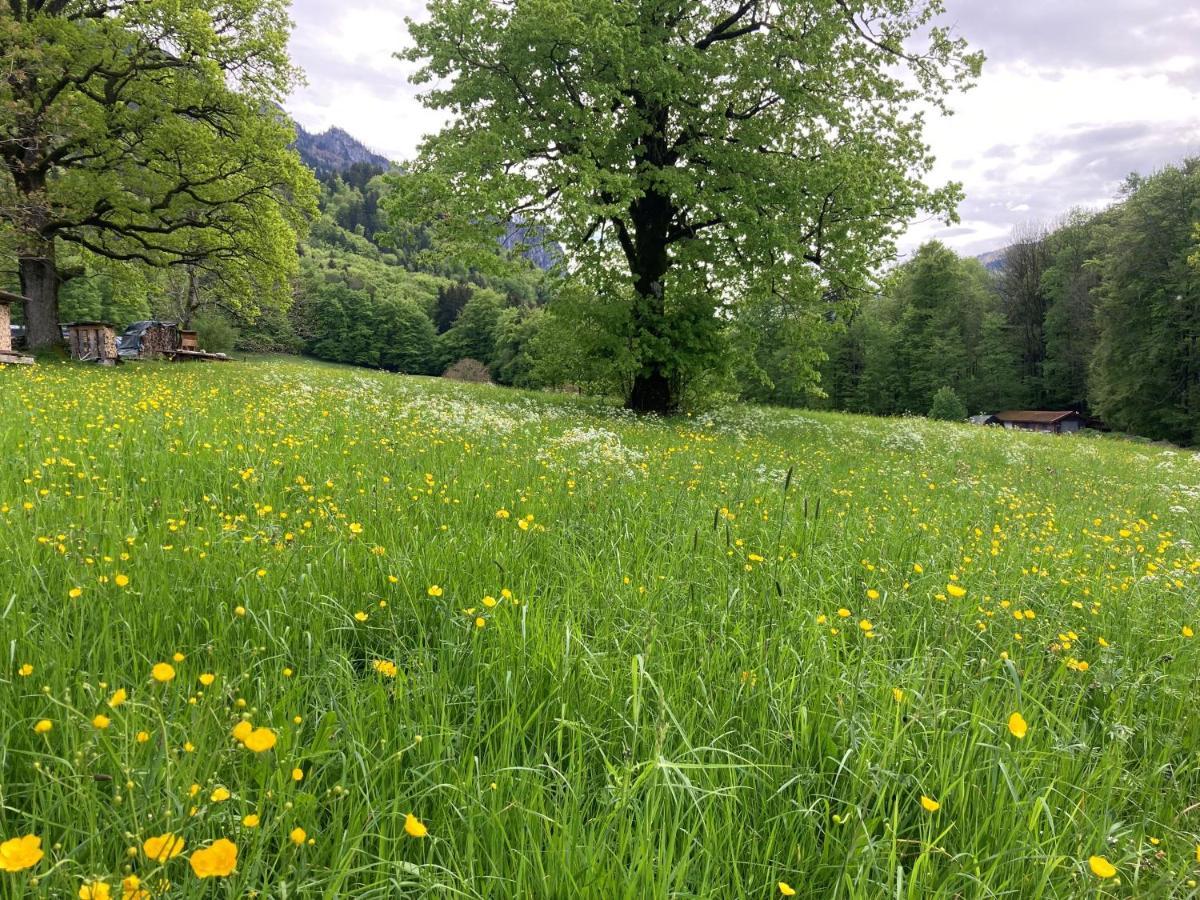 Ciao-Aschau Haus Zur Burg Ap112 Burgblick Appartement Aschau im Chiemgau Buitenkant foto