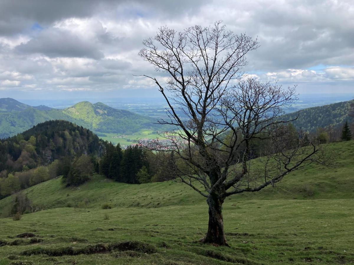 Ciao-Aschau Haus Zur Burg Ap112 Burgblick Appartement Aschau im Chiemgau Buitenkant foto